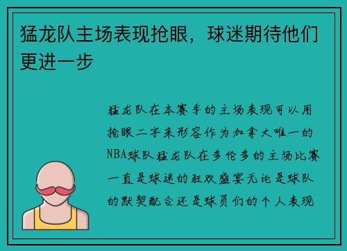 猛龙队主场表现抢眼，球迷期待他们更进一步